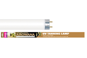 Đèn cho Quá bối Arcadia FAWG30 30W T8 900mm Golden Crown Arowana Lamp